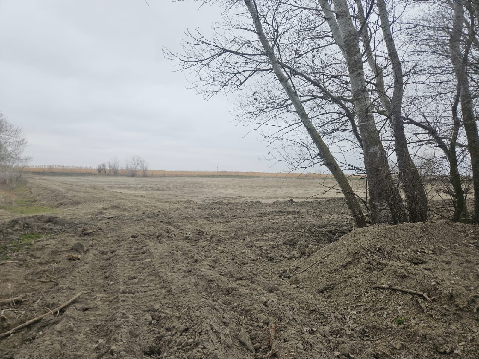 Рабочая поездка в Тарумовский район